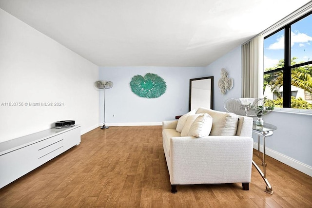 living room featuring hardwood / wood-style floors