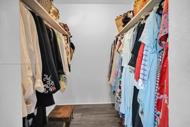 walk in closet with wood-type flooring