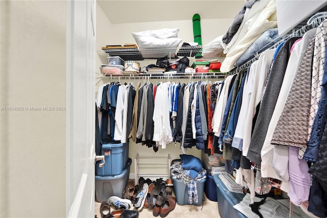 walk in closet with carpet flooring