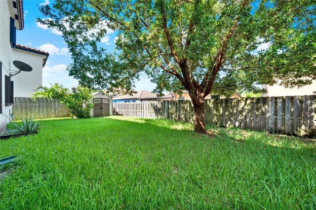 view of yard with a storage unit