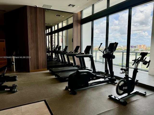 gym with floor to ceiling windows