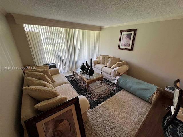 living room featuring hardwood / wood-style floors and a textured ceiling