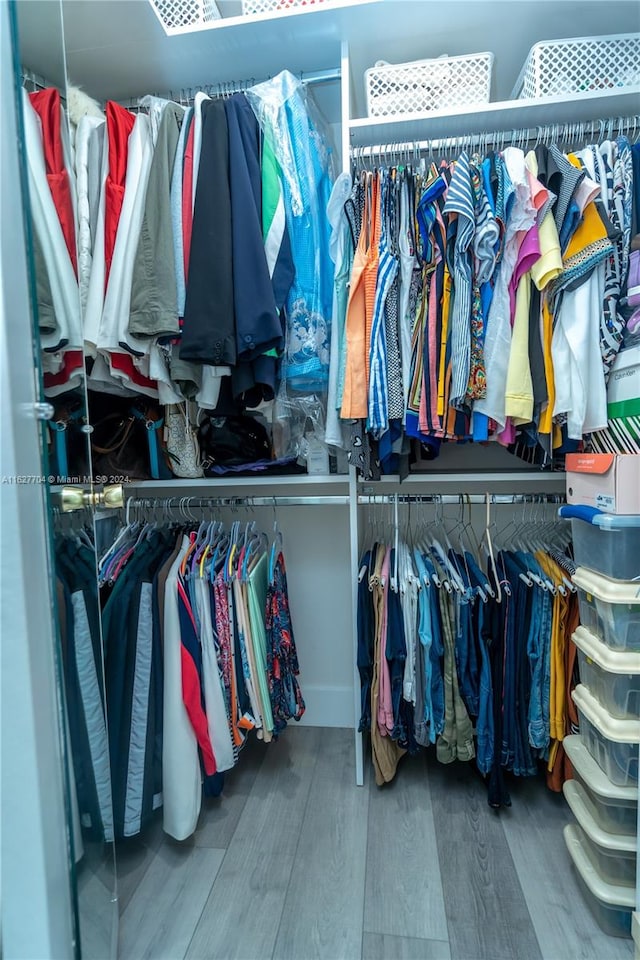 spacious closet with hardwood / wood-style floors