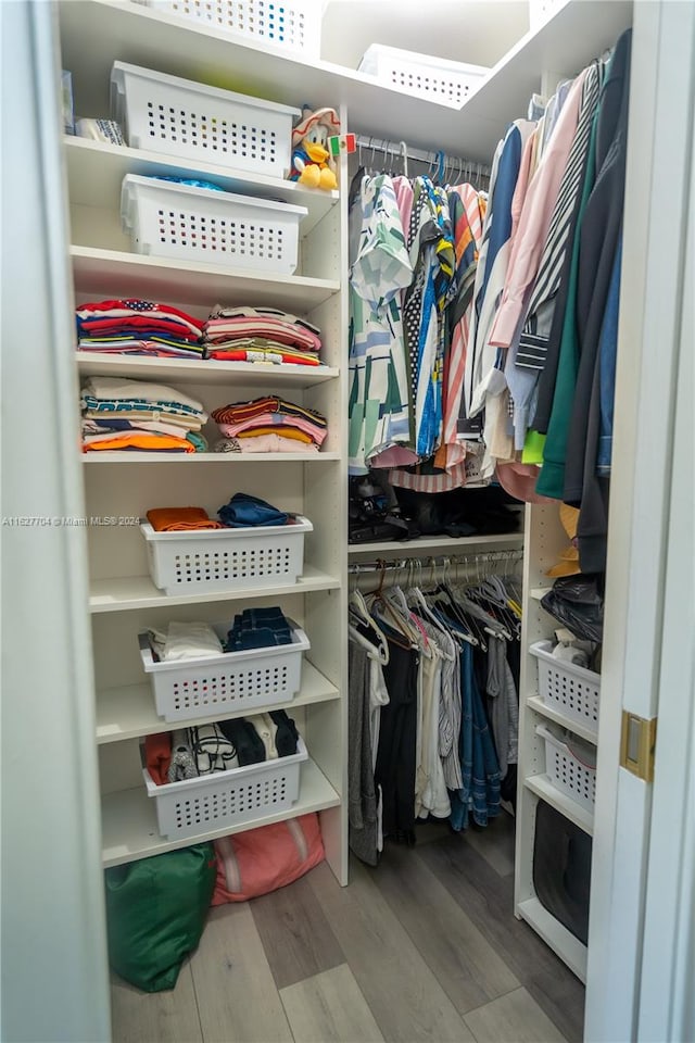 spacious closet featuring wood-type flooring