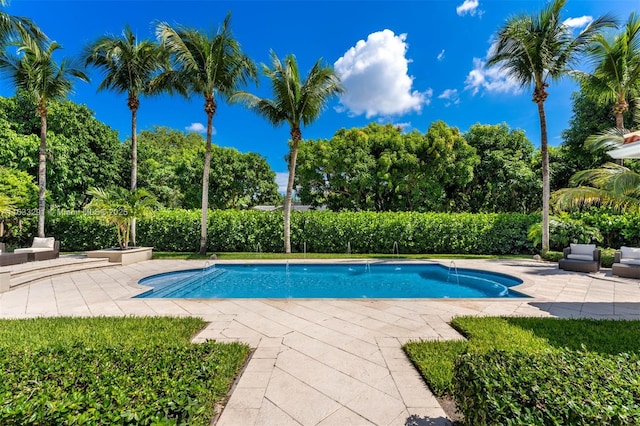 view of swimming pool with a patio