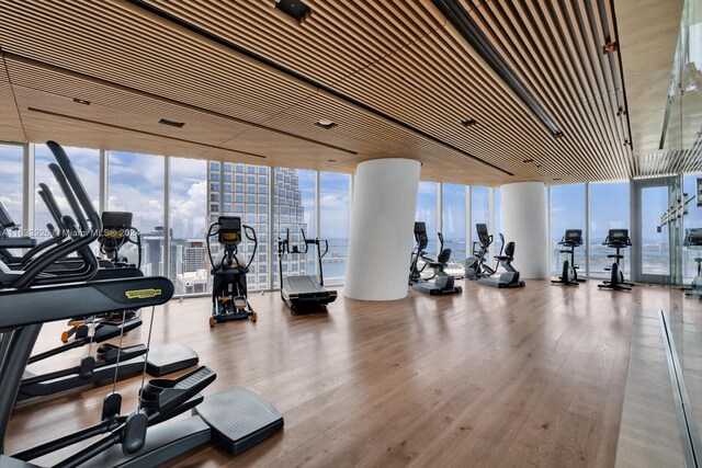 gym featuring expansive windows and hardwood / wood-style flooring