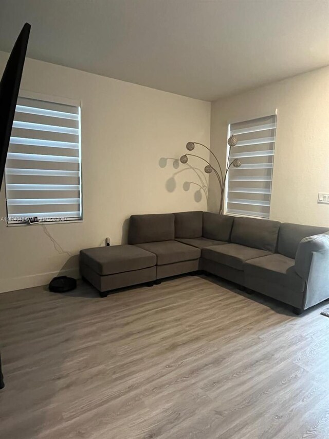 living room with wood-type flooring