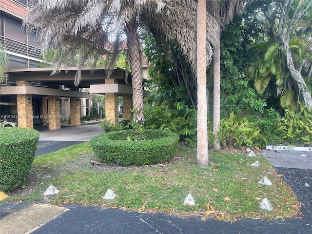 view of yard featuring a carport