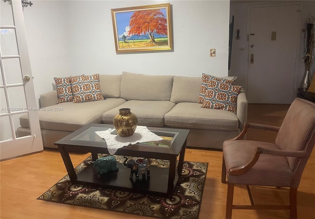 living area featuring wood finished floors