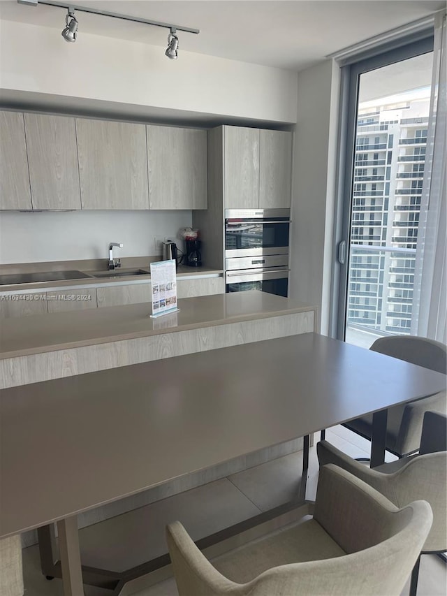 kitchen with sink, a wealth of natural light, and rail lighting