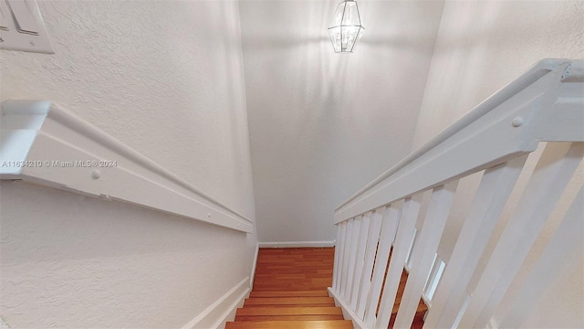 staircase with hardwood / wood-style floors