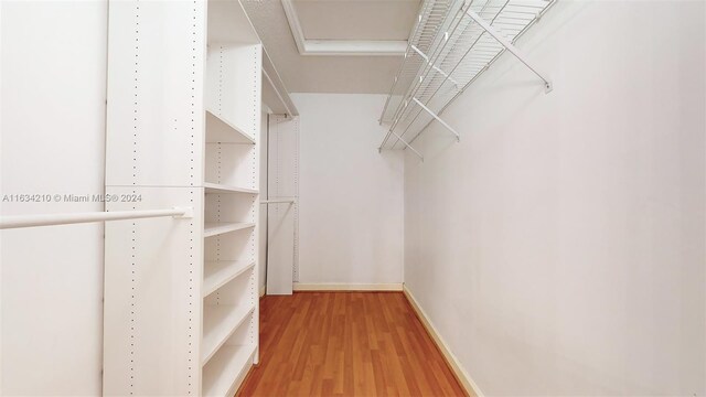 walk in closet with hardwood / wood-style flooring