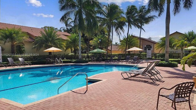 view of swimming pool featuring a patio area