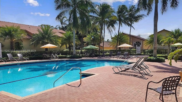 view of swimming pool featuring a patio