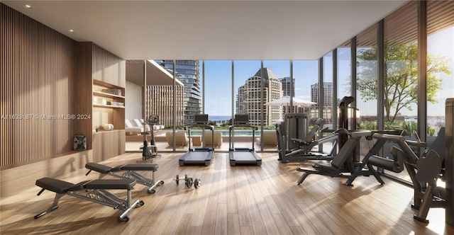 exercise room with expansive windows and light hardwood / wood-style flooring