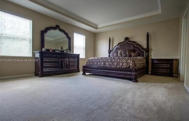 bedroom with light colored carpet, a raised ceiling, and multiple windows