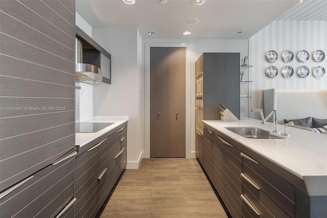 kitchen featuring black electric cooktop, sink, and light hardwood / wood-style floors