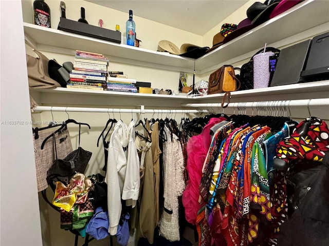 view of spacious closet