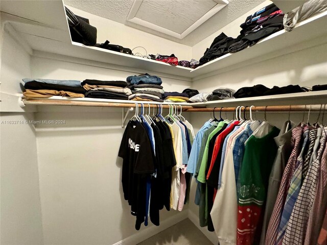 view of walk in closet