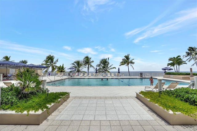 view of pool featuring a patio area