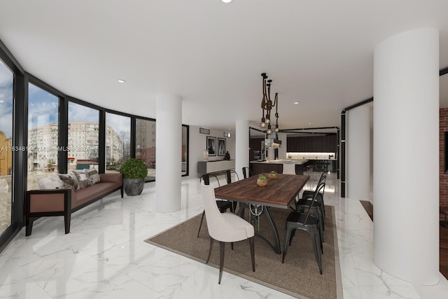 dining space with expansive windows and ornate columns