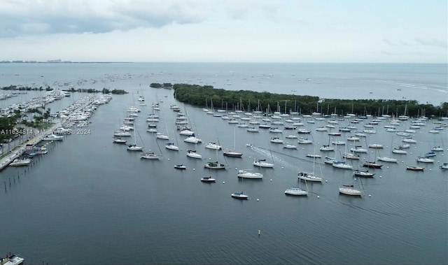 bird's eye view with a water view