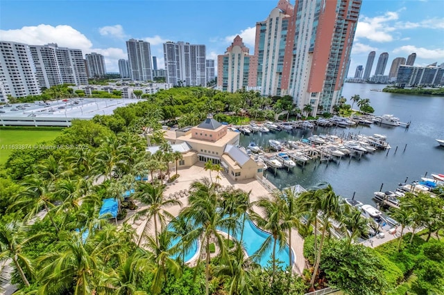 aerial view of a skyline view, numerous boat docks, a nearby body of water, and a pool