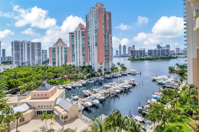 water view with a view of skyline and a marina