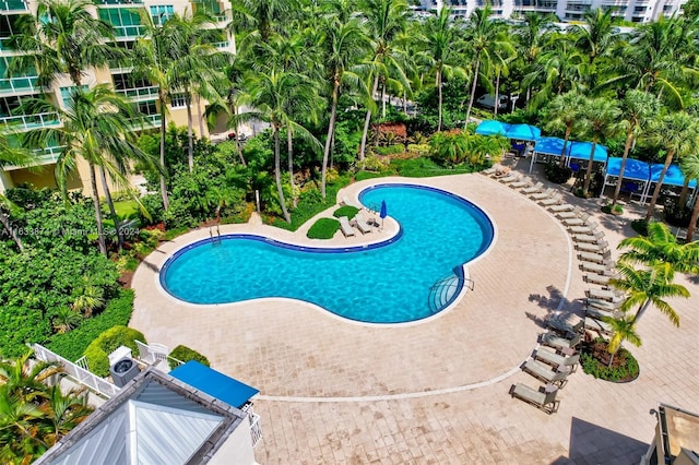 view of pool featuring a patio