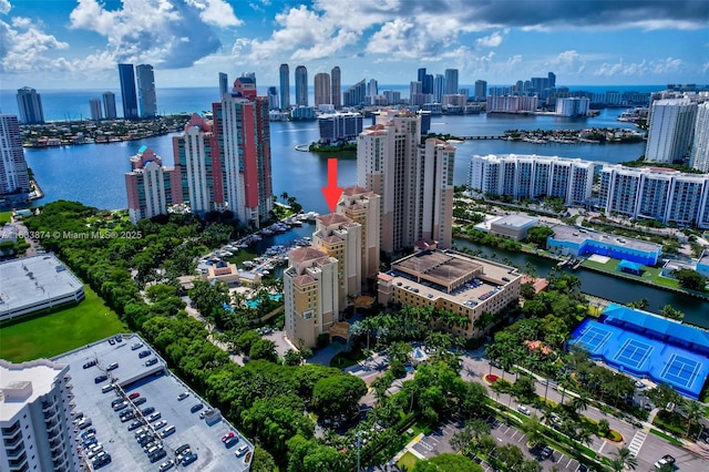 bird's eye view of a view of skyline and a large body of water
