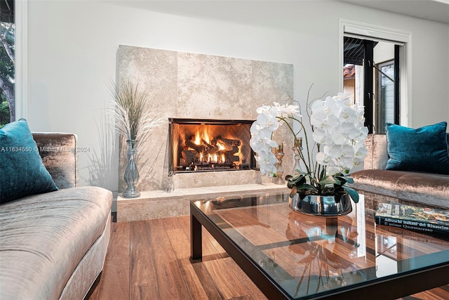 interior space featuring a premium fireplace, wood finished floors, and plenty of natural light