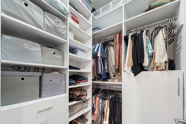 view of spacious closet