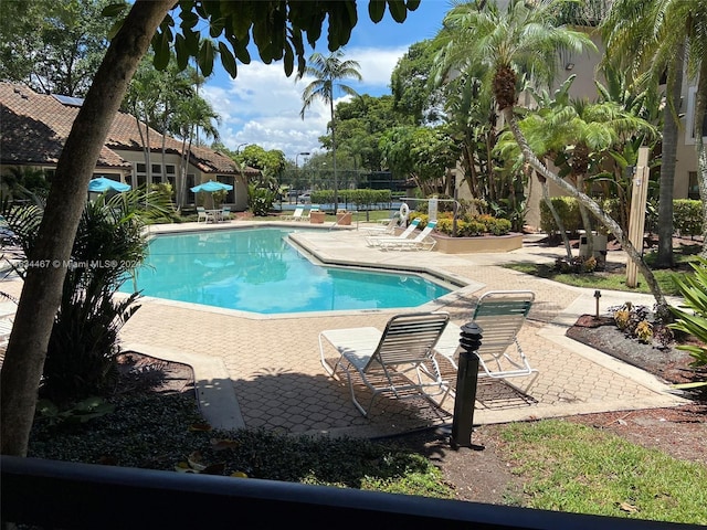 view of swimming pool featuring a patio