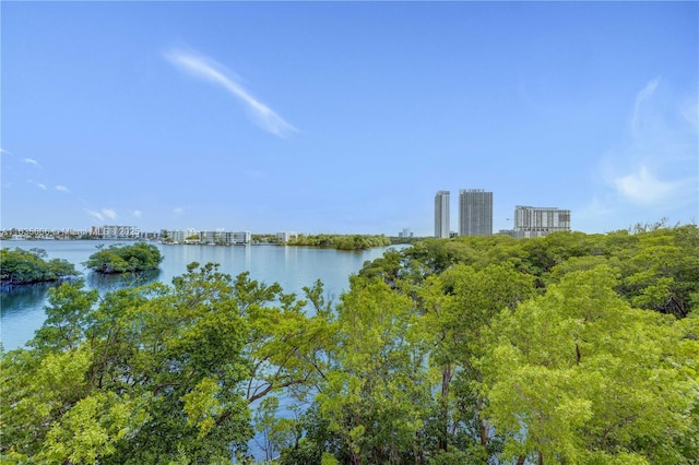 17111 Biscayne Blvd Unit 304, North Miami Beach, FL 33160 - water view