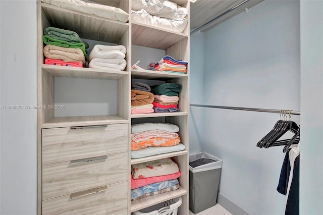 view of closet
