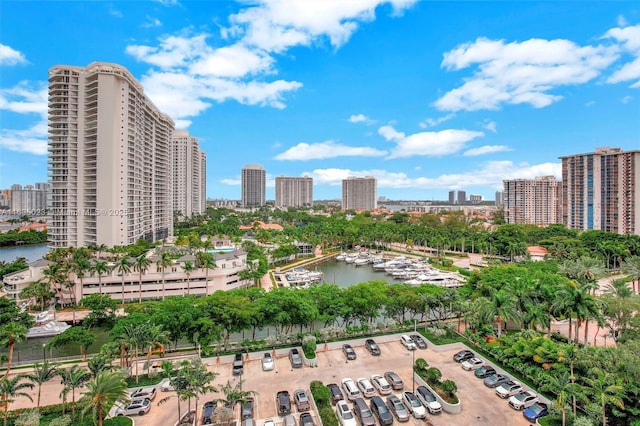 aerial view with a water view and a view of city