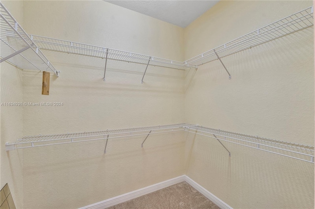 walk in closet with carpet flooring