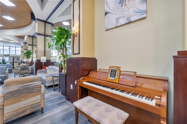 miscellaneous room featuring hardwood / wood-style flooring and a high ceiling