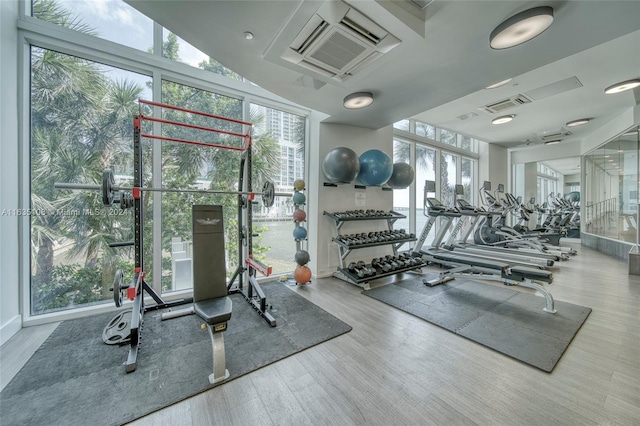 workout area with a healthy amount of sunlight, floor to ceiling windows, and hardwood / wood-style floors