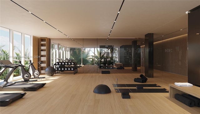 exercise room with hardwood / wood-style floors and floor to ceiling windows