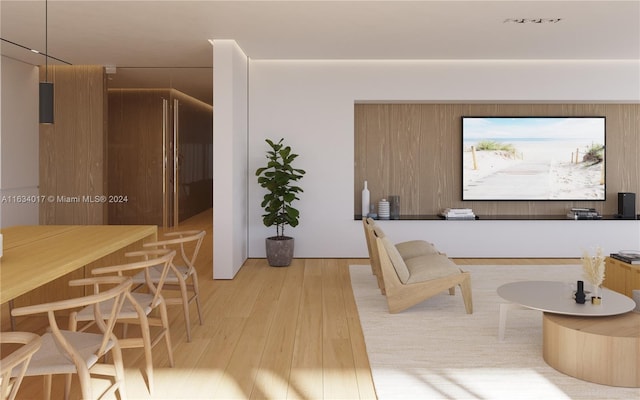 living room featuring light hardwood / wood-style flooring