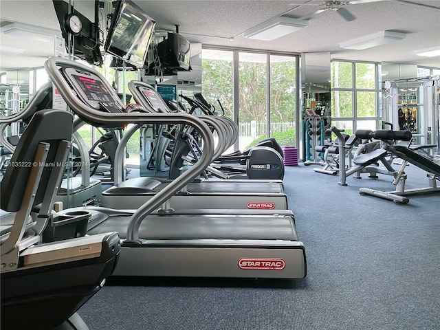 exercise room featuring a textured ceiling, ceiling fan, floor to ceiling windows, and carpet floors