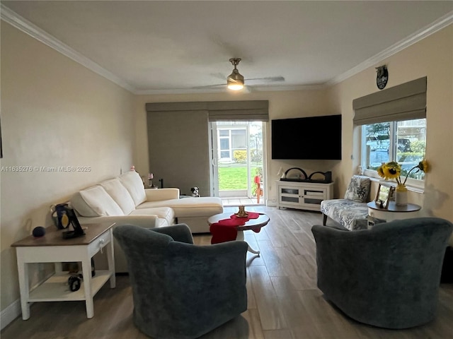 living room with ceiling fan, crown molding, and hardwood / wood-style floors