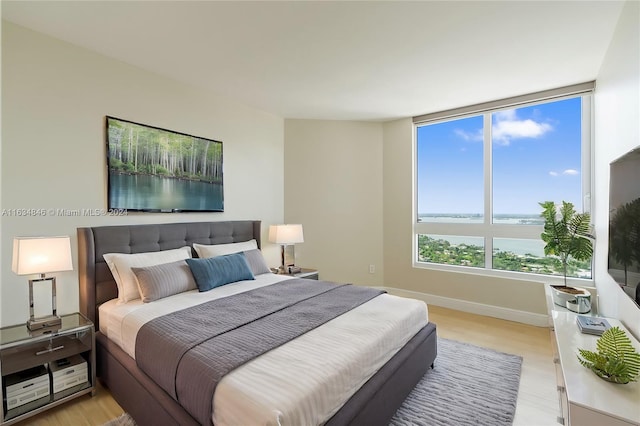 bedroom featuring light hardwood / wood-style floors