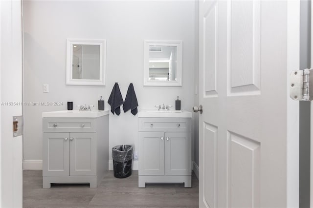 bathroom with two vanities, wood finished floors, and a sink