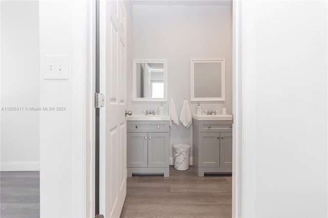 bathroom featuring a sink, wood finished floors, and two vanities