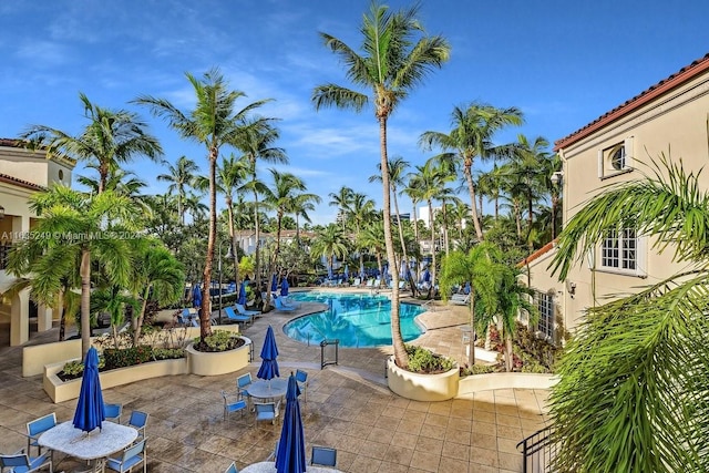 view of pool featuring a patio