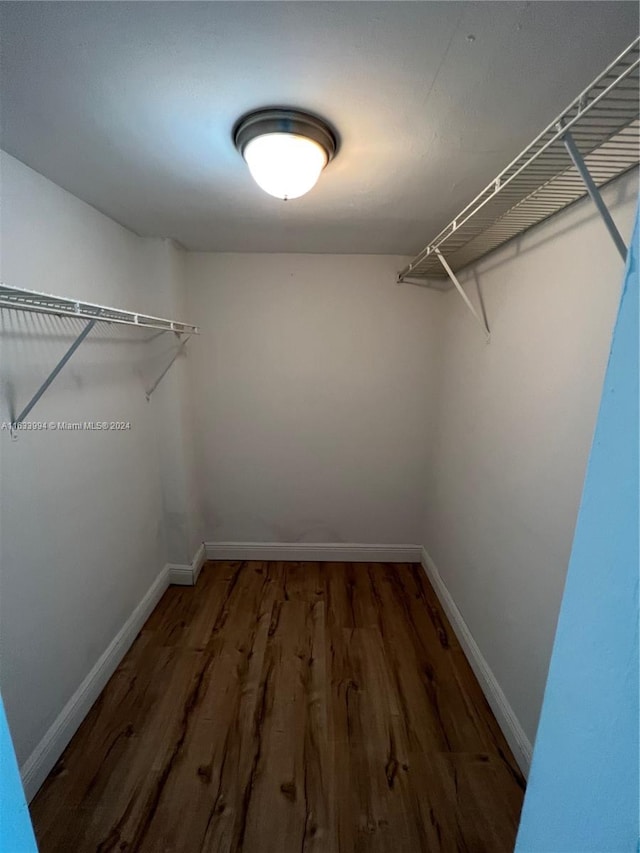 spacious closet with wood-type flooring