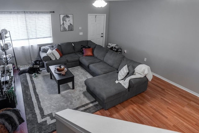 living room with hardwood / wood-style flooring