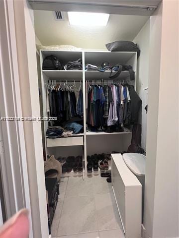 view of closet